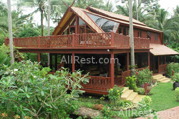 Coconut Paradise 15